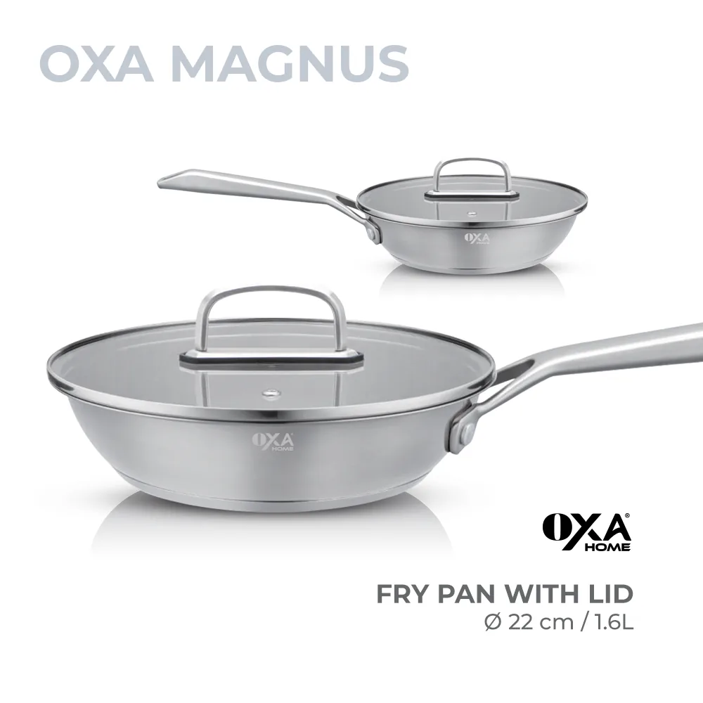 Fry pan with lid 22 cm